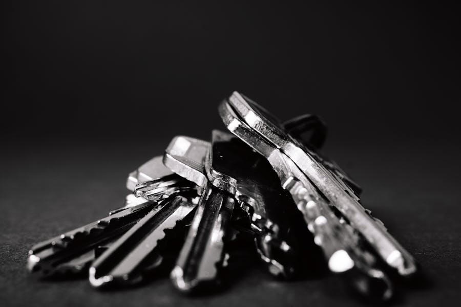 Professional locksmith tools and pick set